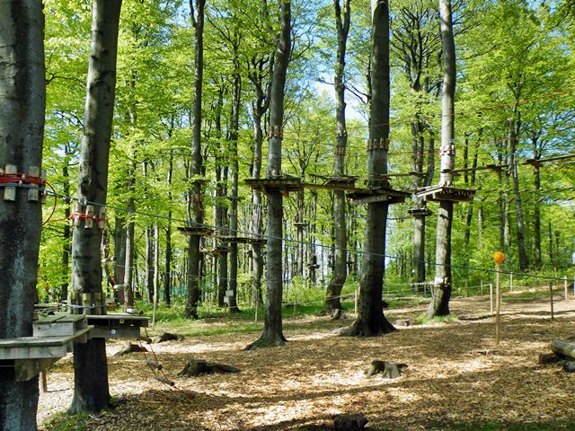 Kletterwald auf dem Hoherodskopf bei Schotten