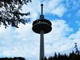Hoherodskopf im Vogelsberg